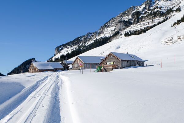 Schneeschuhwandern am Mattstogg
