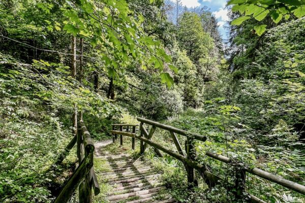 Dem Lauf des Tabeillon entlang