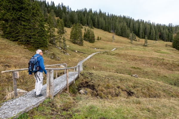 Durch Moorlandschaften am Glaubenbielenpass