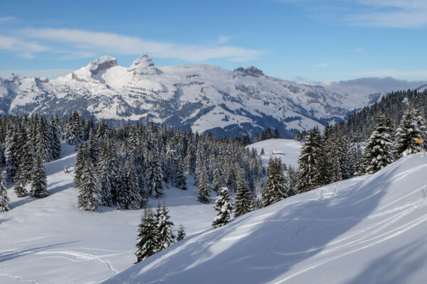 Waadtländer Bergwinter