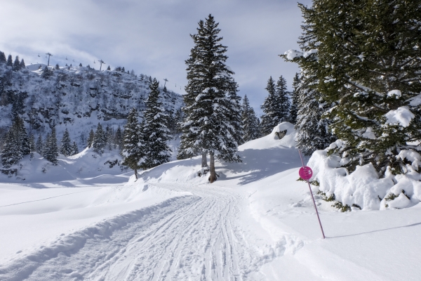 Les Alpes vaudoises en hiver