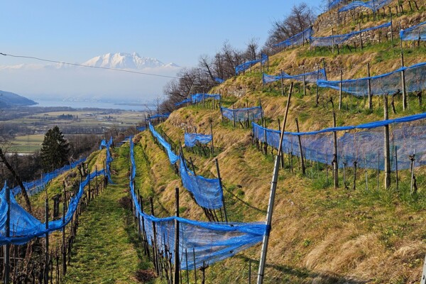 Quattro passi in collina