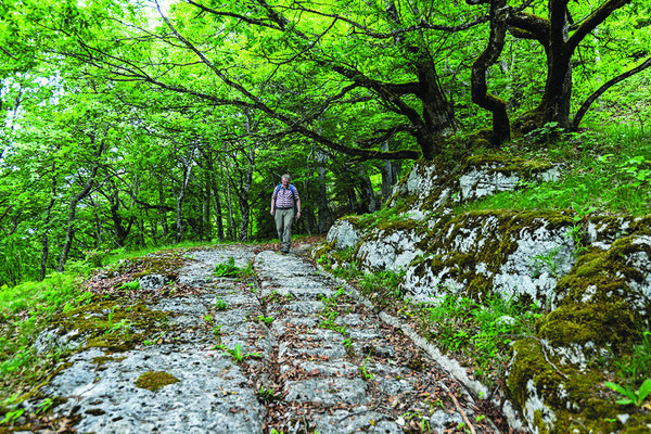 Auf dem Weg des Salzes II