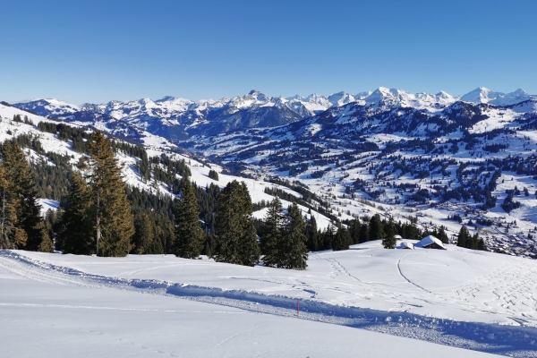 Viel Sonne und Aussicht im Saanenland