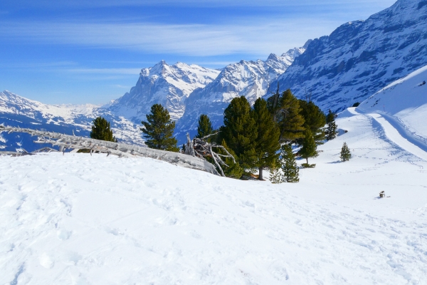 Marcher face à l’Eiger