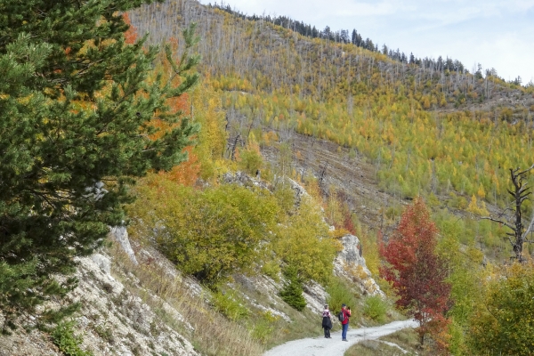 Zone d’incendie de forêt au-dessus de Loèche