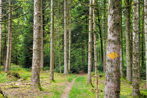 Idyllische Wanderung durchs Mittelland