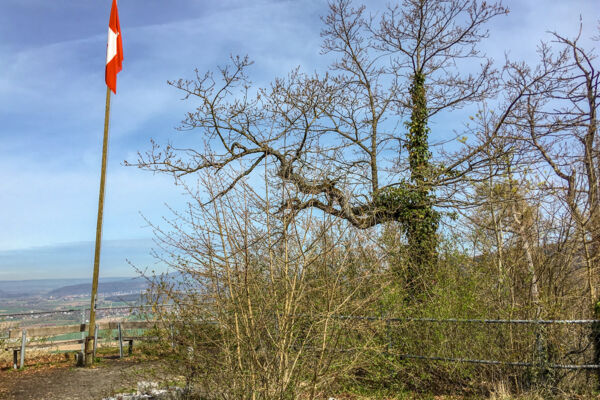 Randonnée panoramique au-dessus du Rhin