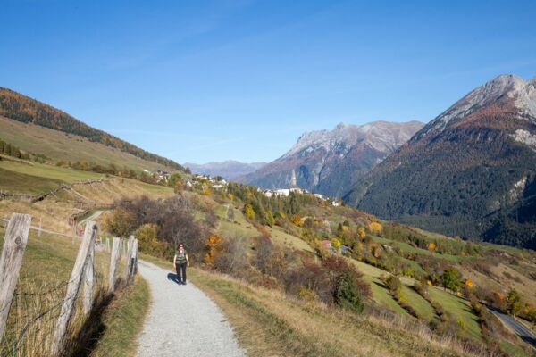 Les sgraffites de la Basse-Engadine