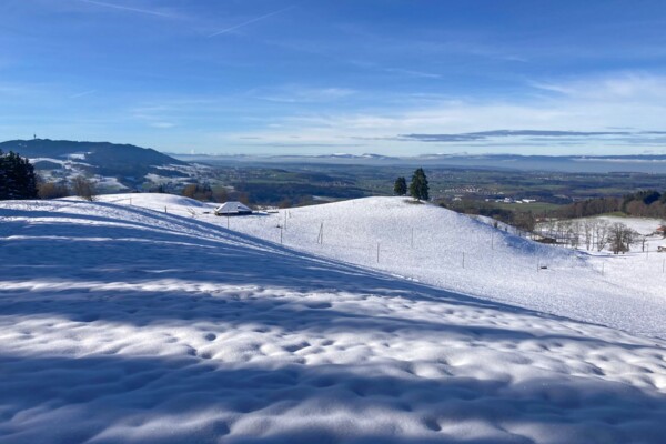 Vers les kames de la Gruyère