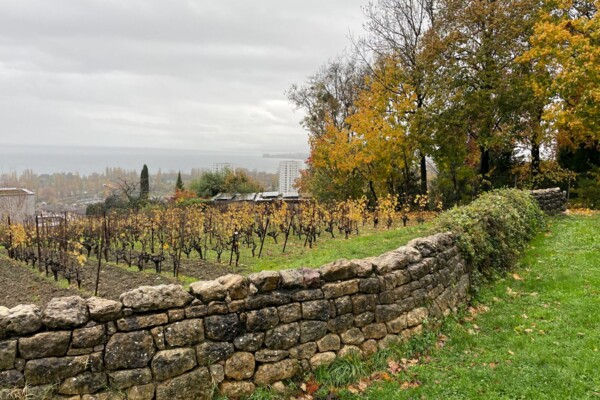 Randonnée gourmande à travers Lausanne