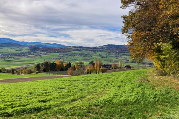 Hinterlassenschaften des Aaregletschers