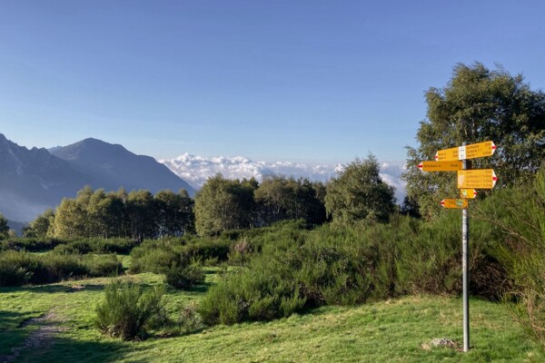 Rundhöcker im Südtessin