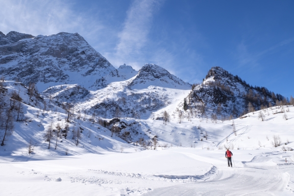 Un îlot neigeux préservé