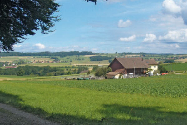 Über dem Rafzerfeld
