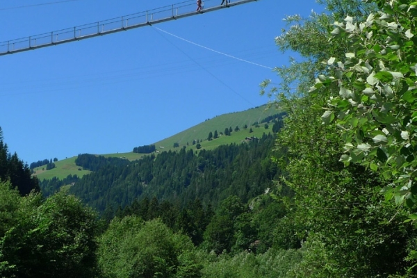 Hängebrücke Hohstalden