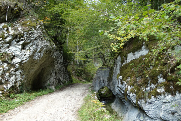 Zum höchsten Punkt in Delémont