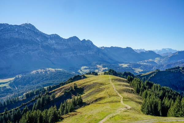 Mit Säntisblick vom Kronberg nach Weissbad