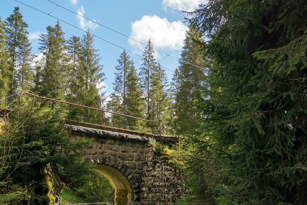 Wilde Schlucht in den Freibergen