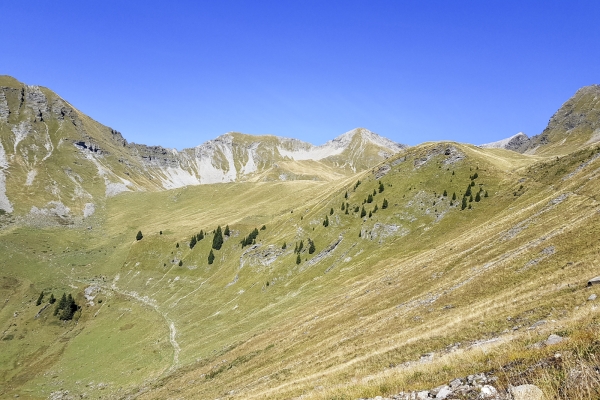 Vue au sommet dans le Diemtigtal