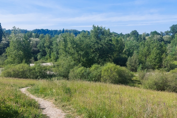 Magnifiche flora e fauna lungo le rive del Rodano