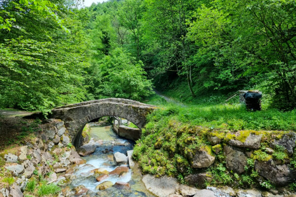 Una gita primaverile sopra il lago di Walenstadt
