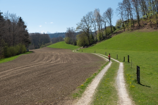 Auf dem Gürbetaler Höhenweg