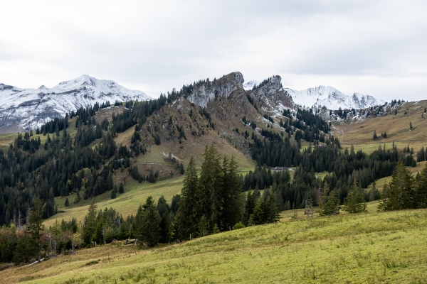 Durch Moorlandschaften am Glaubenbielenpass