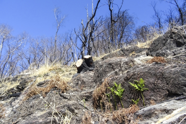 Sur les pentes ensoleillées des Centovalli