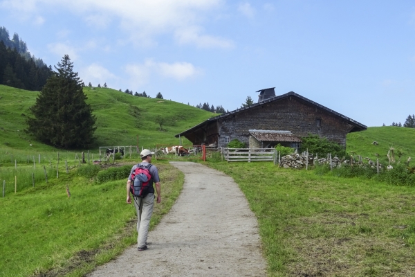 De belles vues dans les Préalpes fribourgeoises