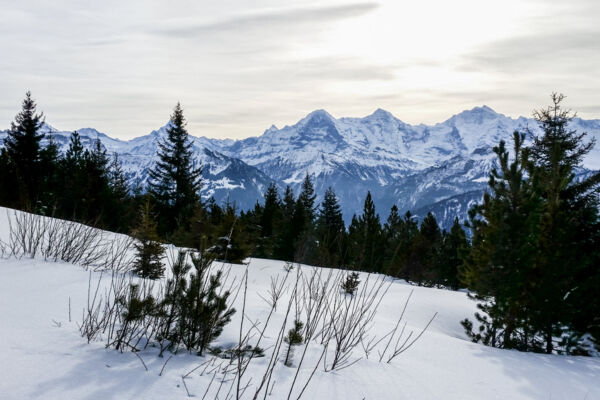 Chüematten-Trail am Niederhorn