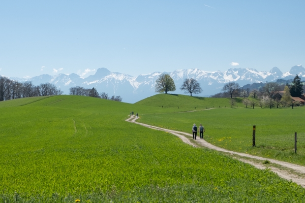 Lungo il sentiero alto della valle della Gürbe