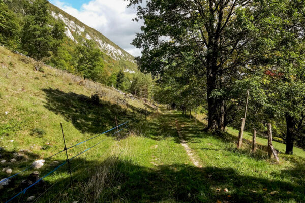 Ausflug auf den Mont-Sujet