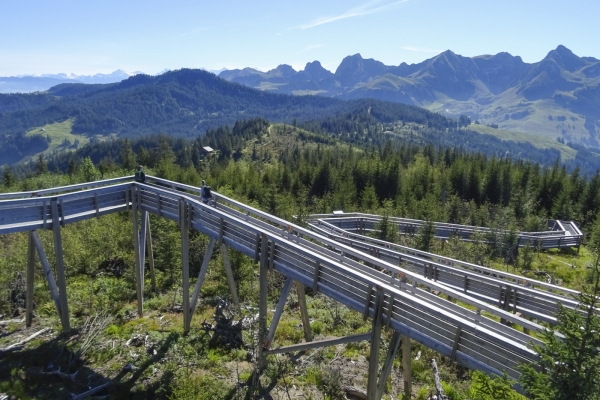 Abwechslungsreicher Höhenweg im Gantrischgebiet