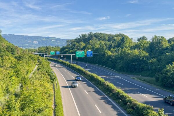 Una tranquilla passeggiata tra natura e città