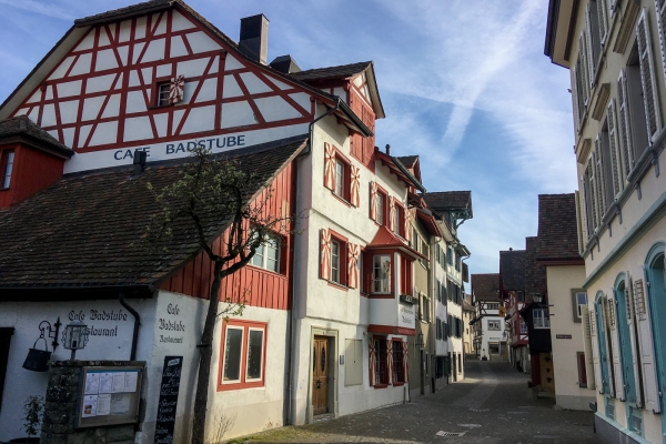 Wandern mit Weitsicht hoch über dem Rhein