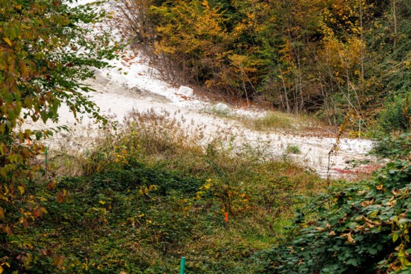Durch die Kastanienselven im Chablais