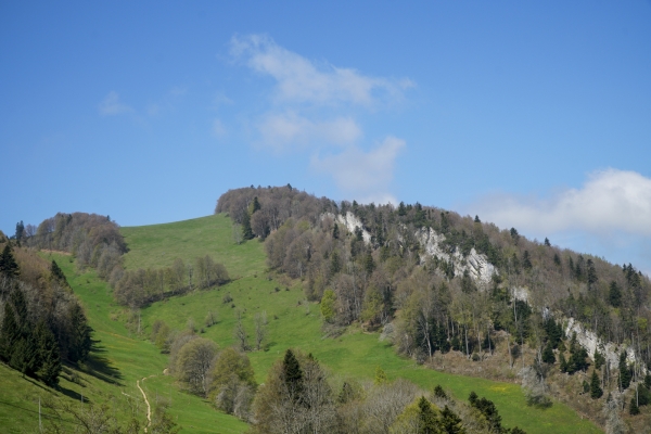 Les papillons du Wasserfallen