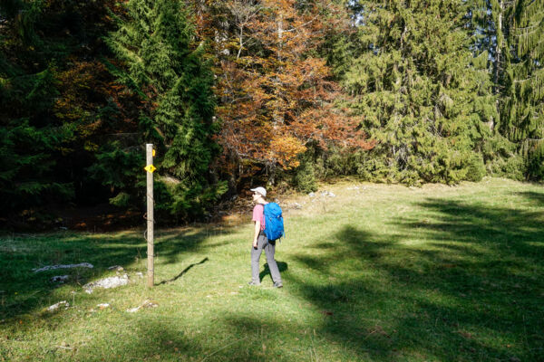 Im Jura zwischen Sonvilier und Le Noirmont