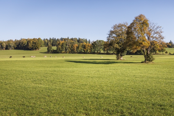 Impressionen in den Freibergen