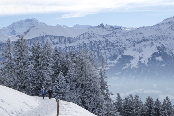 Beatenberg und die verschneiten Berner Alpen