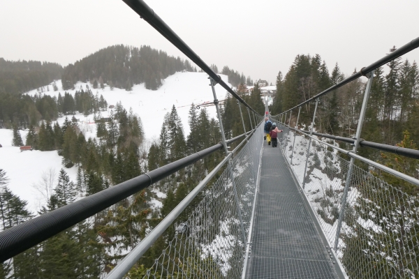 Zu den Geissen auf Sattel-Hochstuckli