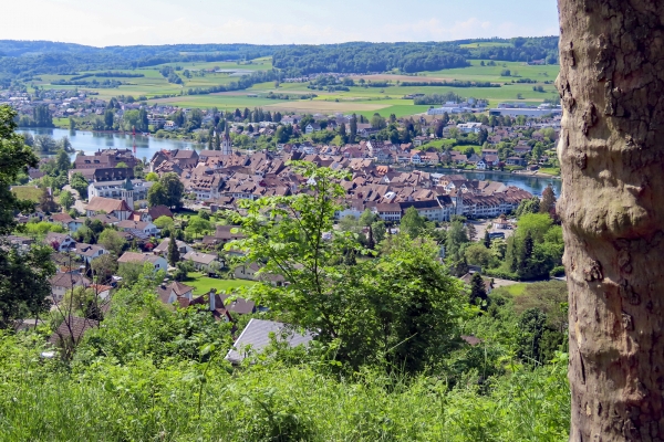 Vers le bourg de Hohenklingen à Stein am Rhein