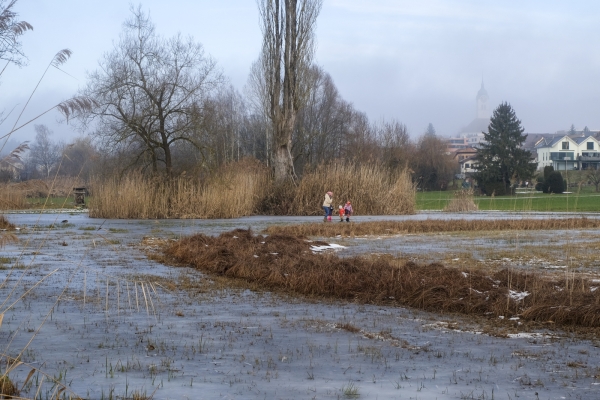 Quiétude hivernale près du lac de Hallwil