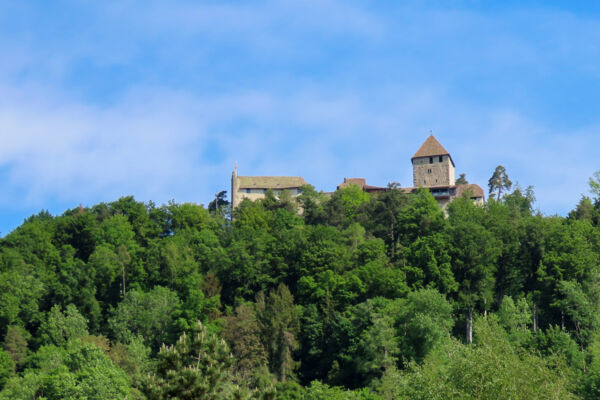 Zur Burg Hohenklingen bei Stein am Rhein