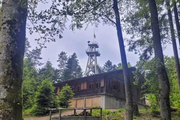 Randonnée enchantée sur le Plateau