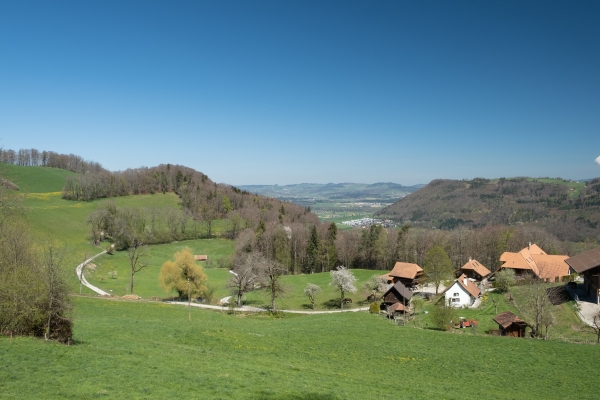 Sur le chemin panoramique du Gürbetal