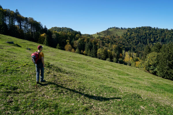 In den St. Galler Ausläufern des Tössberglandes