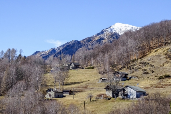 Sur les pentes ensoleillées des Centovalli