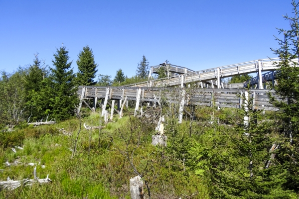 Abwechslungsreicher Höhenweg im Gantrischgebiet